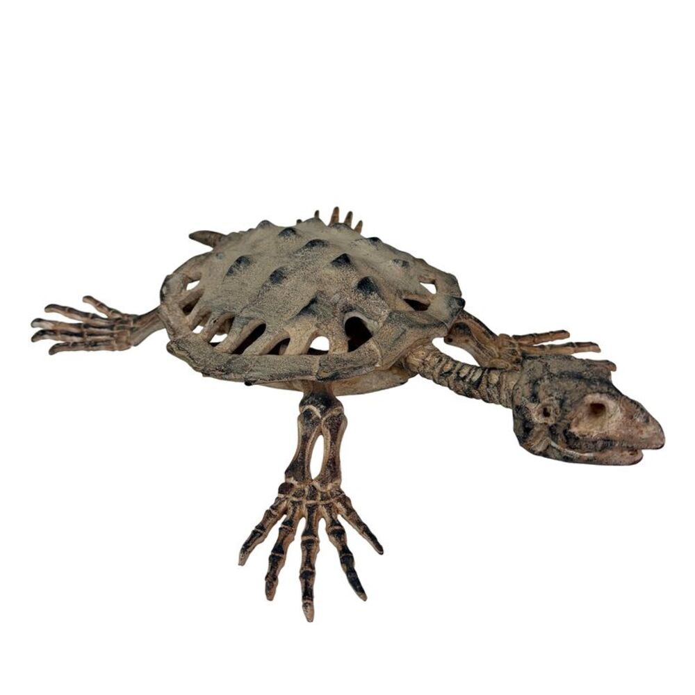 Turtle Skeleton Statue Distressed Beige Black Polyresin 14 X 10 X 3 In